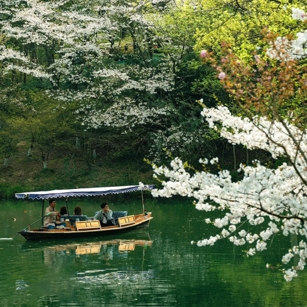 BẮC KINH – HÀNG CHÂU – Ô TRẤN – THƯỢNG HẢI