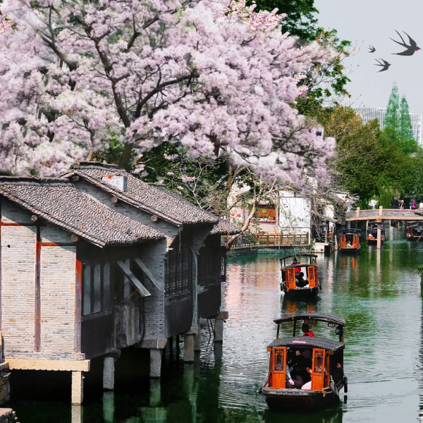 BẮC KINH – HÀNG CHÂU – Ô TRẤN – THƯỢNG HẢI