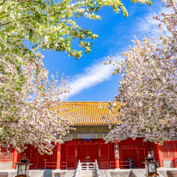 BẮC KINH – HÀNG CHÂU – Ô TRẤN – THƯỢNG HẢI