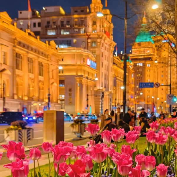 BẮC KINH – HÀNG CHÂU – Ô TRẤN – THƯỢNG HẢI