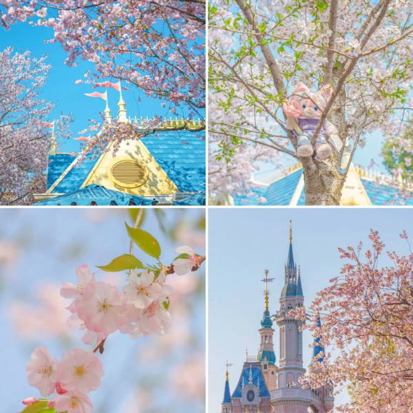 THƯỢNG HẢI – Ô TRẤN – HÀNG CHÂU – TÔ CHÂU- OPTION: DISNEYLAND