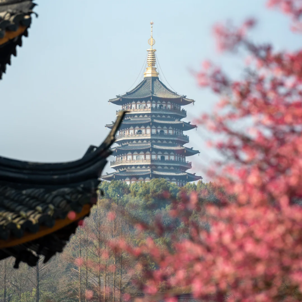 THƯỢNG HẢI – Ô TRẤN – HÀNG CHÂU – TÔ CHÂU- OPTION: DISNEYLAND