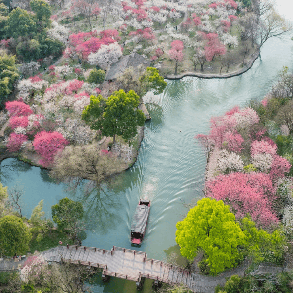THƯỢNG HẢI – Ô TRẤN – HÀNG CHÂU – TÔ CHÂU- OPTION: DISNEYLAND